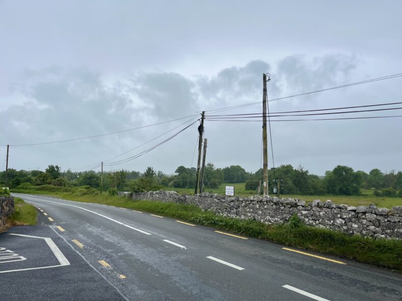 Graigue (Civil Parish of Loughrea), Patrick Delaney, 10 6 2026