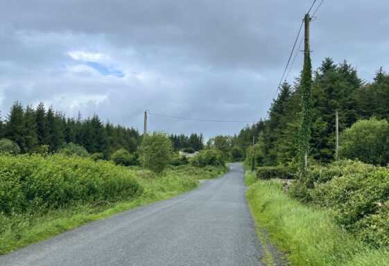 Kincullia