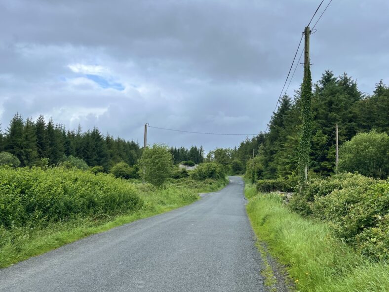 Kincullia (Loughrea Rural), By Patrick Delaney, 10 6 2026.
