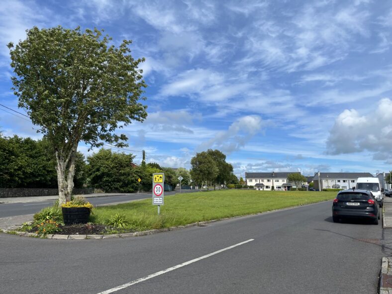 Cuscarrick, Civil Parish Of Loughrea. By Patrick Delaney. 10 6 2026
