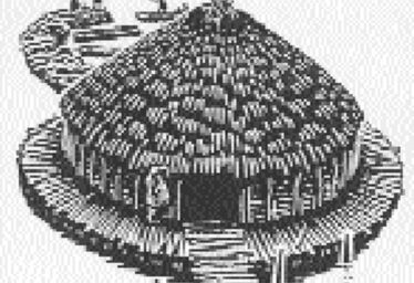 The Crannóg in Lake View