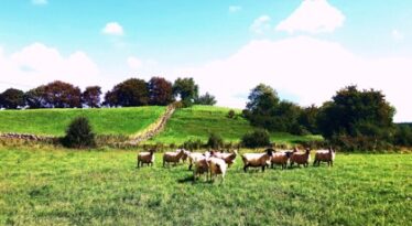 Laffey’s Hill (viewed from a field behind the cemetery)