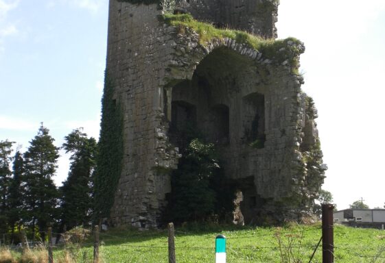 A Galway Roadside Tragedy