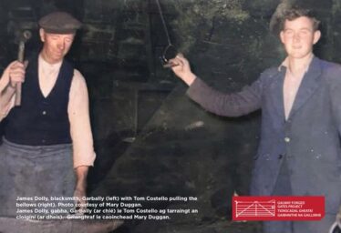 Galway Forged Gates Project