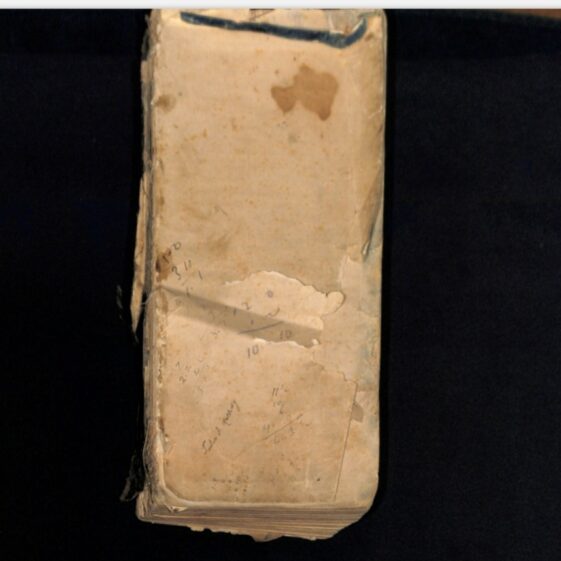 Mellody's Tick Book Front Cover