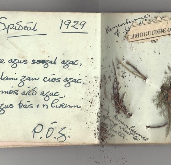 Autograph book page Autograph book inside page | Courtesy of Bridie Scanlon