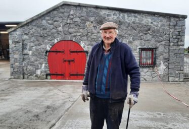 John Feeney Interview