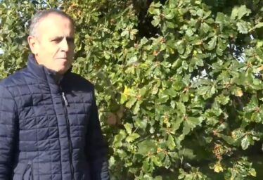 Mick Flattery Video