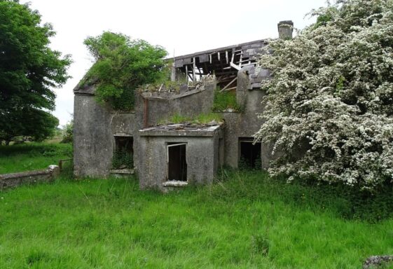Bohan Family, Windfield Demesne.