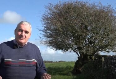 Jimmy Laffey Video.