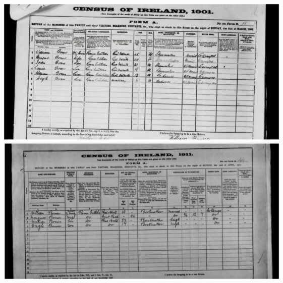 Irish Census 1901 & 1911
