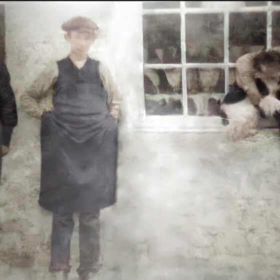 William Bonner Shoe Repair Shop Convoy County Donegal
c1905 | Photo Credit: Cormac Bonner