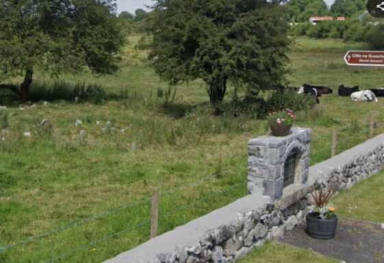 19. Skehanagh Children's Burial Ground.
