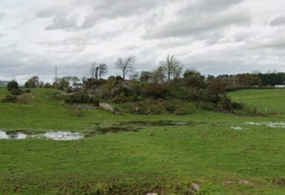 29. Famine Burial Ground, Esker.