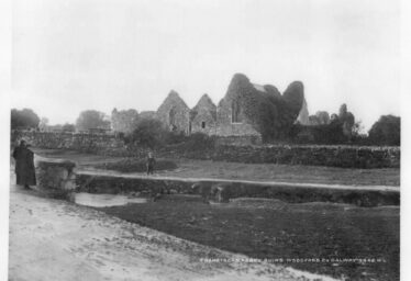 A Frenchman's Walk Through Ireland 1796-7