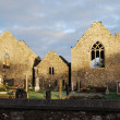 Praying Nature at Kilnalahan Abbey