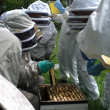 Visit to Abbey Apiary - May 2014