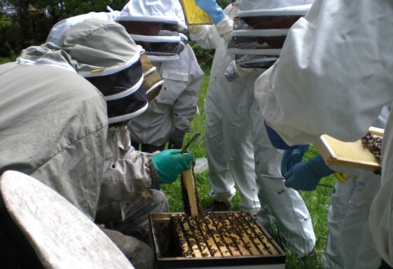 Visit to Abbey Apiary - May 2014