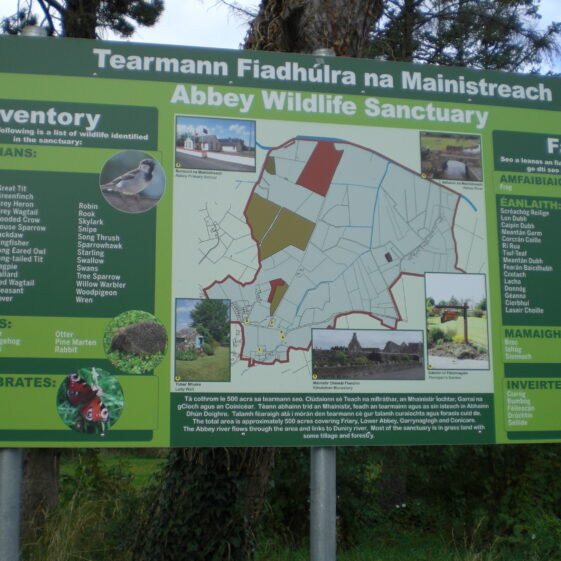 Wildlife Sanctuary | Frances Holohan