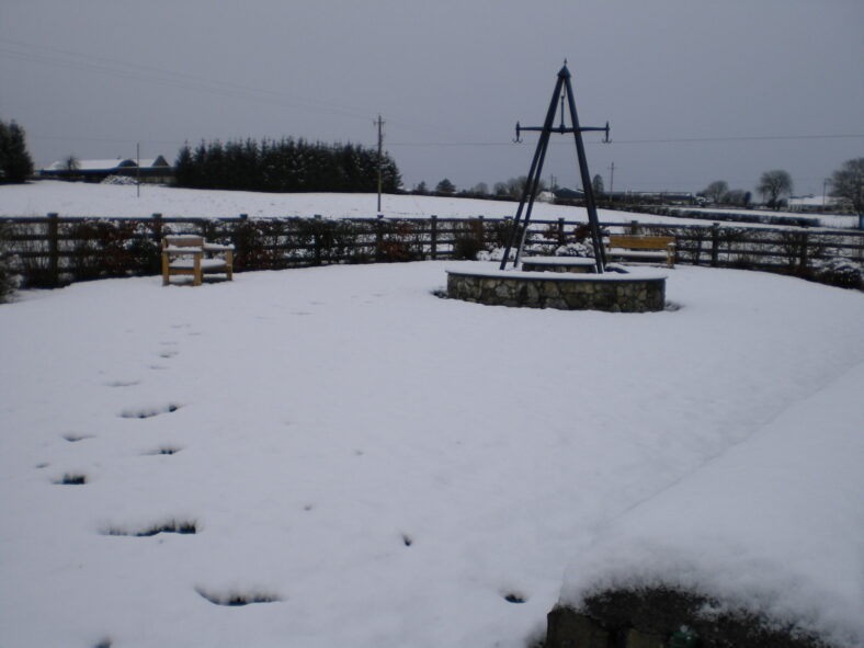 Finnegan's Garden - January 2015 | Frances Holohan