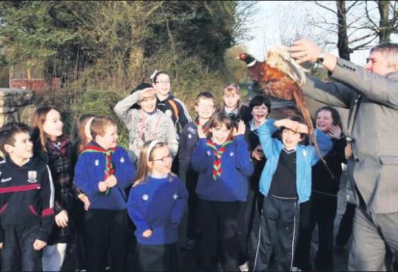 Abbey Wildlife Sanctuary