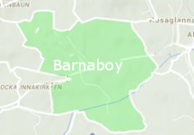 Barnaboy