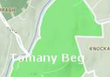 Tomany Beg