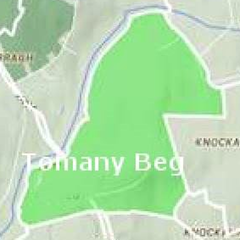 Tomany Beg Townland