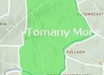 Tomany More