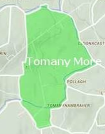 Tomany More Townland