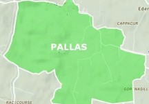 Pallas