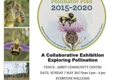 Pollination Exhibition