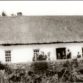 Memories of Abberton Family, Lower Abbey