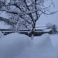 A Blanket of Snow