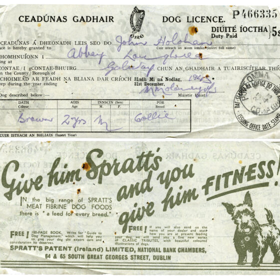 Shop Licenses and Receipts