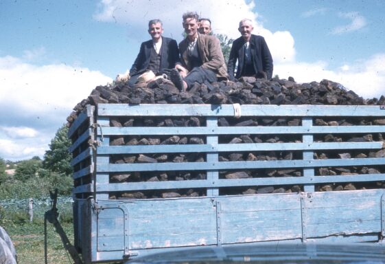 Bringing Home the Turf