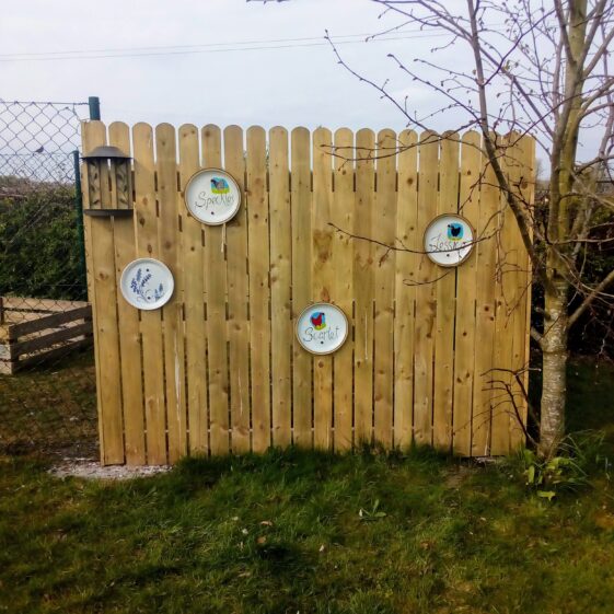 Local children christened the hens | Maeve Lynch
