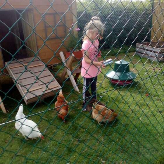  Feeding the Hens | Mave Lynch