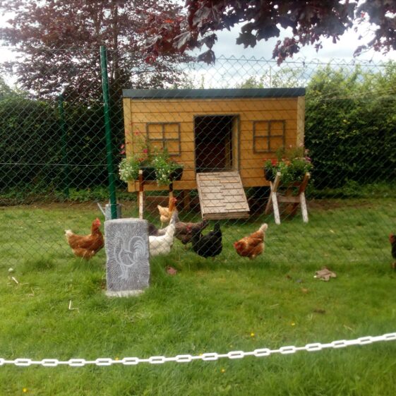Carved Stone placed in front of the hen house was donated by local stonemason Martin McDonagh | Maeve Lynch
