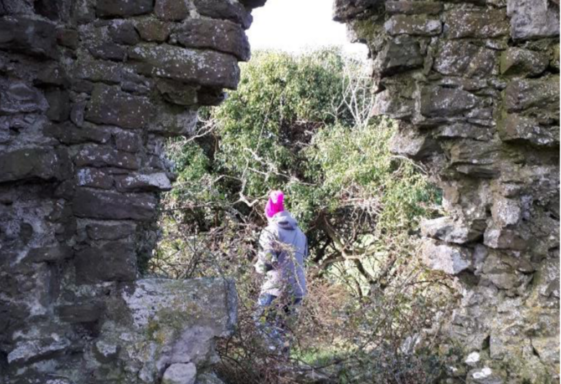 Coolfin Castle