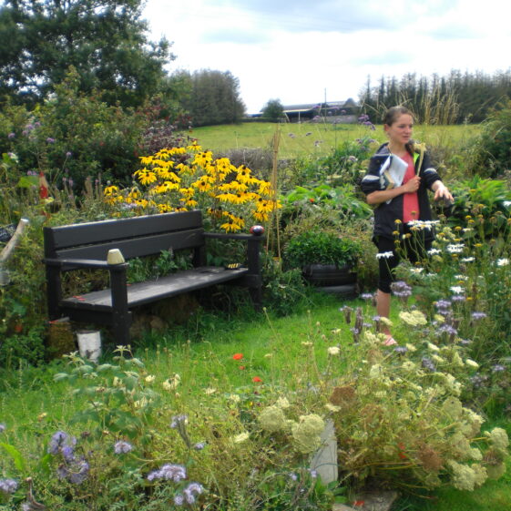 Finnegan's Garden | Frances Holohan