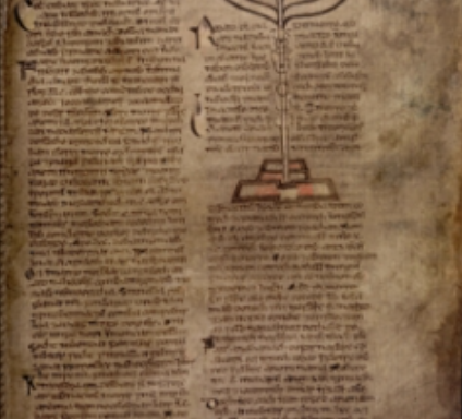 The Great Book of Duniry - An Leabhar Breac