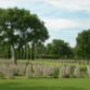 Remember A Fusilier