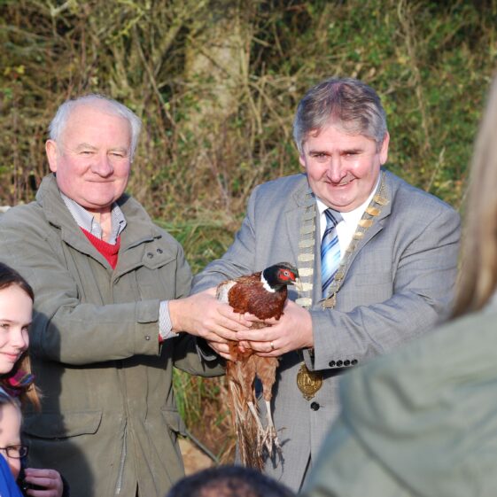 Releasing pheasants | F Holohan
