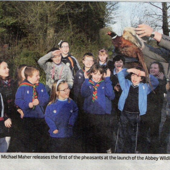 Ready for off! | F Holohan