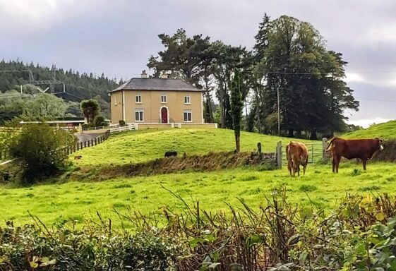 Herdsmen in County Galway