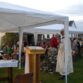 Celebrating Mass at Lady Well Abbey