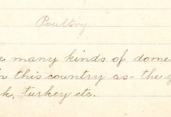 Poultry
